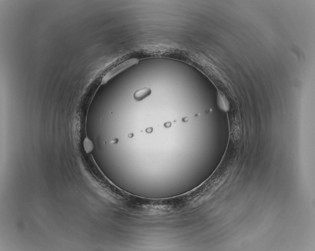 X0000113030448200908271458