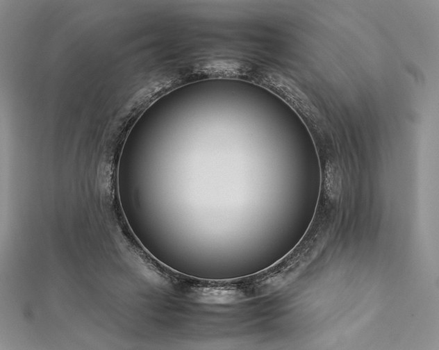 X0000113030449200908271458