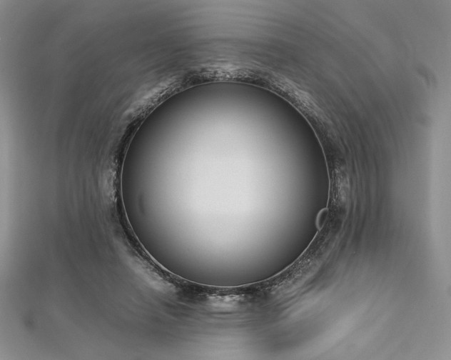 X0000113030450200908271458