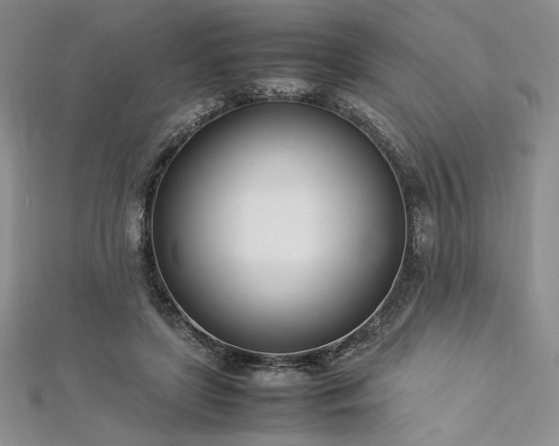 X0000113030451200908271458