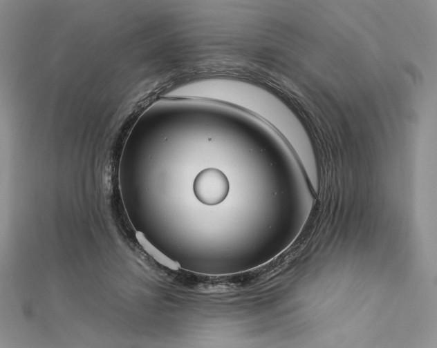 X0000113030452200908271458