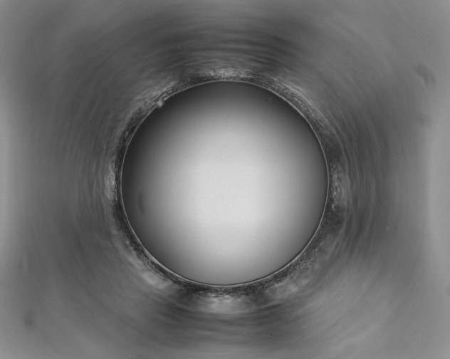 X0000113030453200908271458