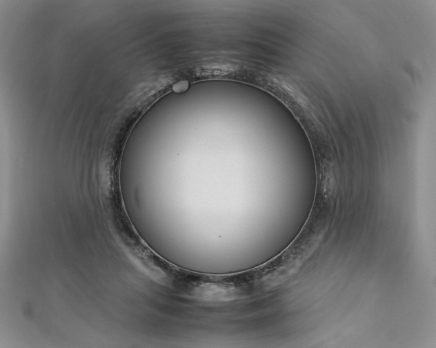 X0000113030455200908271458