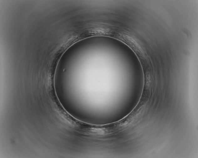 X0000113030457200908271458