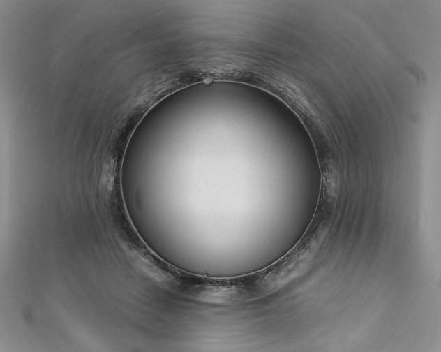 X0000113030458200908271458