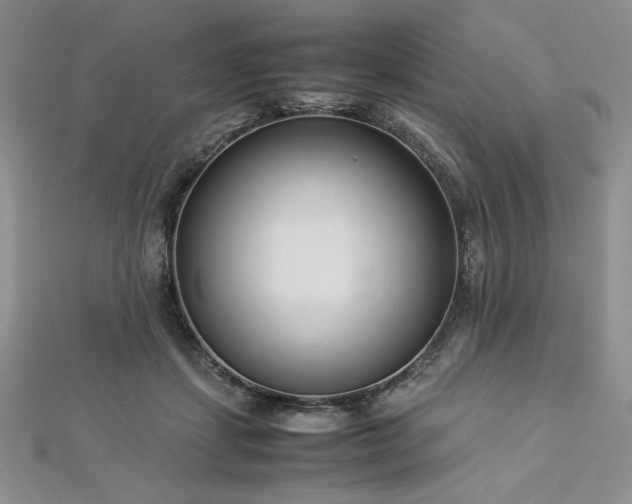 X0000113030459200908271458