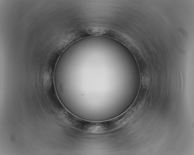 X0000113030460200908271458