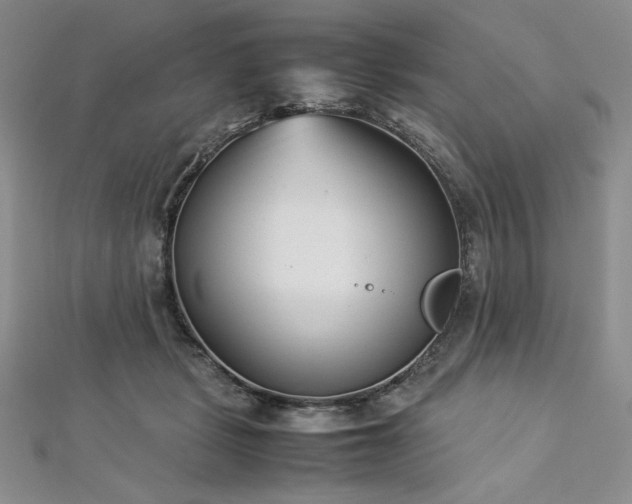 X0000113030461200908271458