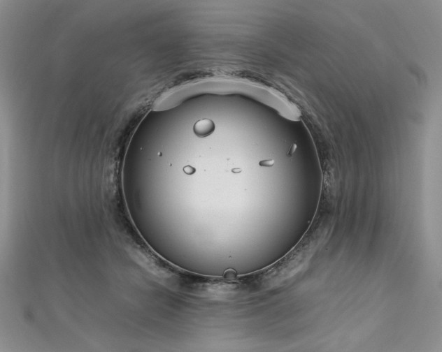 X0000113030462200908271458