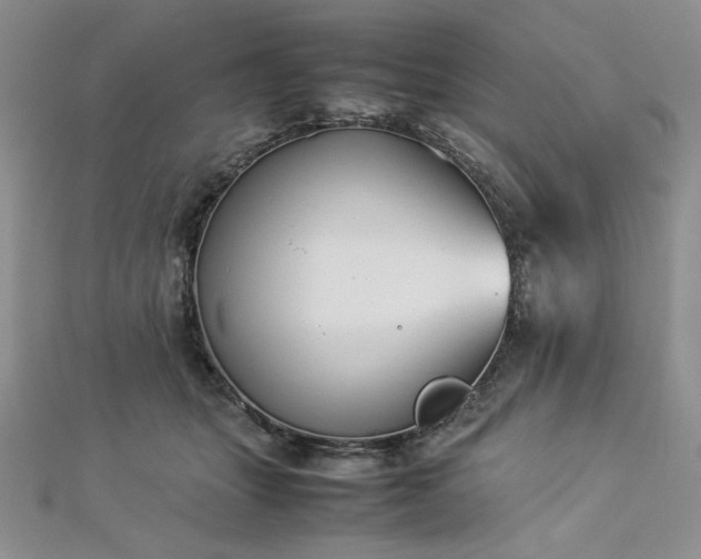 X0000113030463200908271458