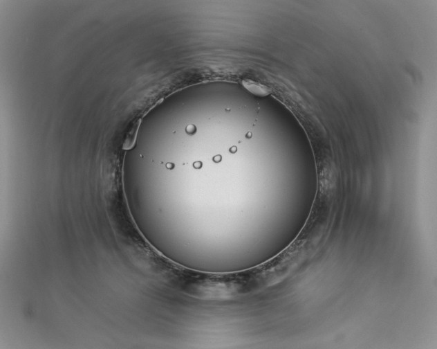 X0000113030464200908271458