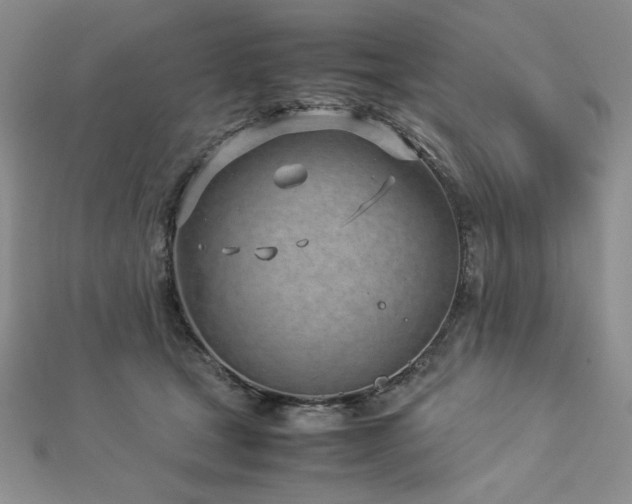 X0000113030465200908271458