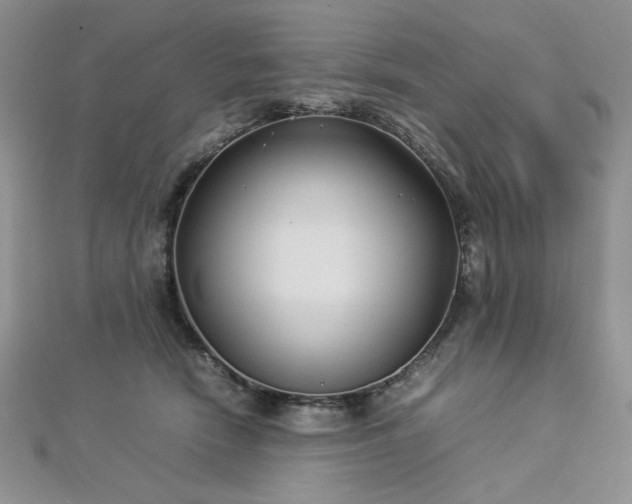 X0000113030466200908271458