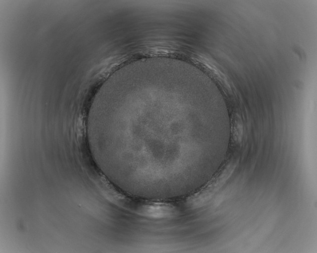 X0000113030467200908271458