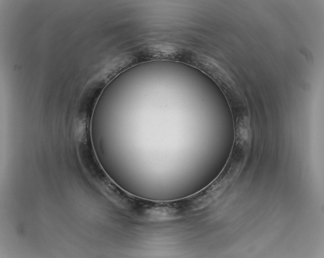 X0000113030468200908271458