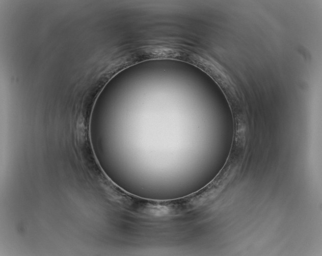 X0000113030469200908271458