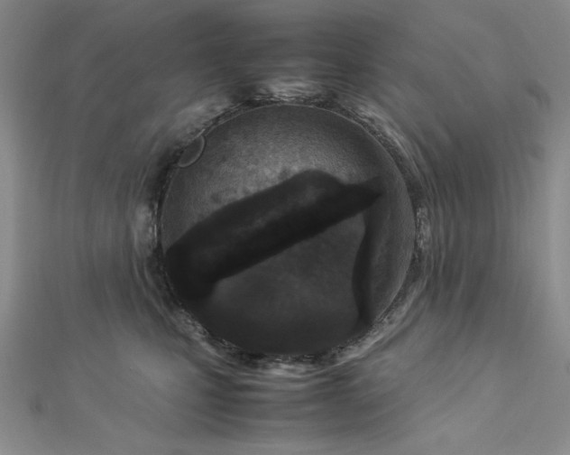 X0000113030471200908271458