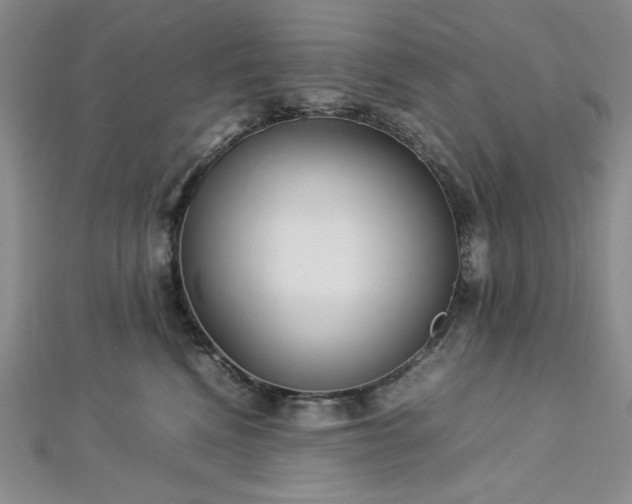 X0000113030472200908271458