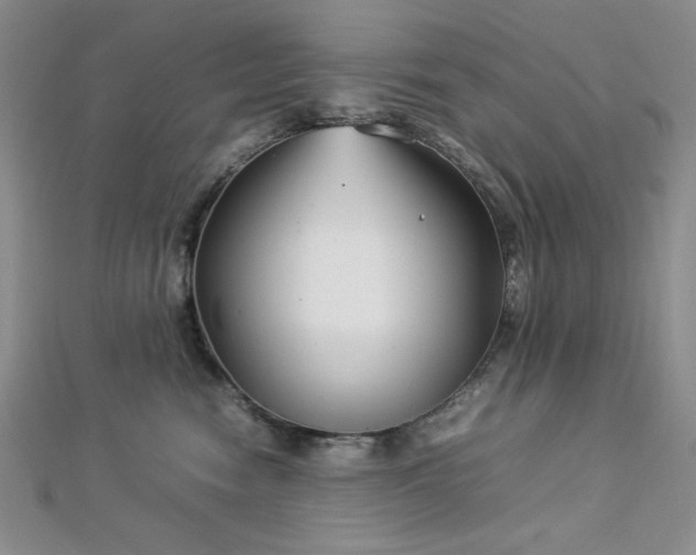 X0000113030474200908271458