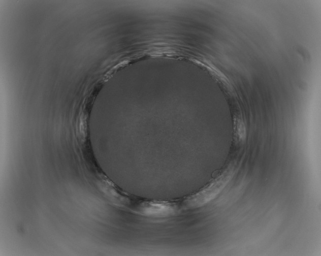 X0000113030475200908271458