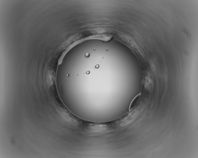 X0000113030476200908271458