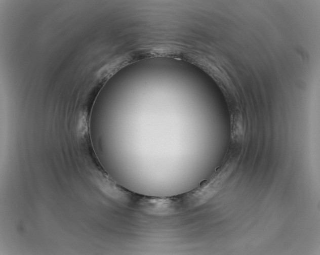 X0000113030478200908271459