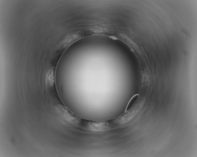 X0000113030479200908271459