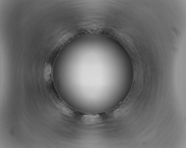 X0000113030480200908271459