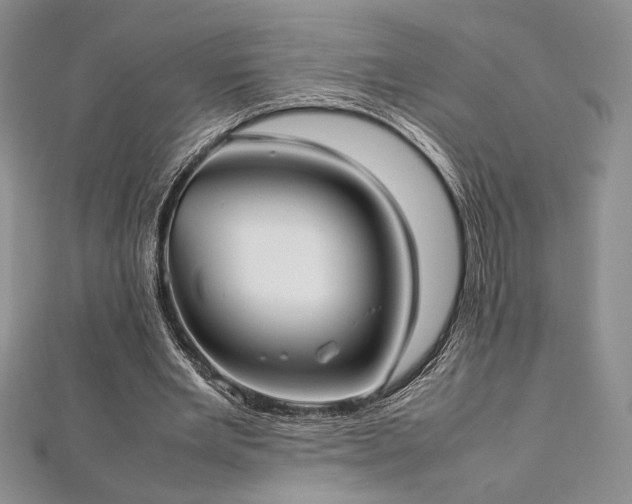 X0000113030485200908271458