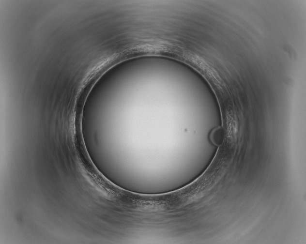 X0000113030486200908271458