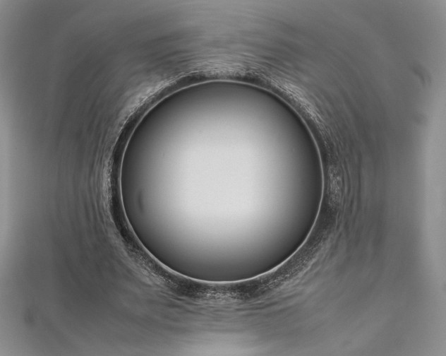 X0000113030487200908271458