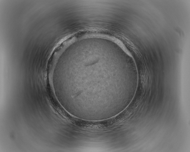 X0000113030488200908271458