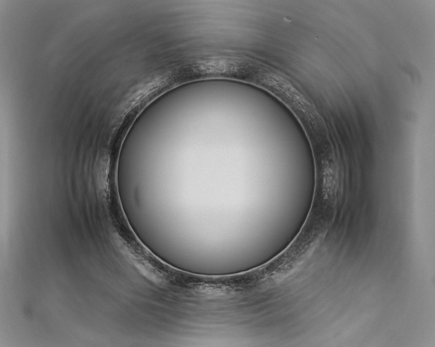 X0000113030490200908271458