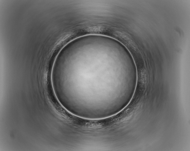 X0000113030491200908271458