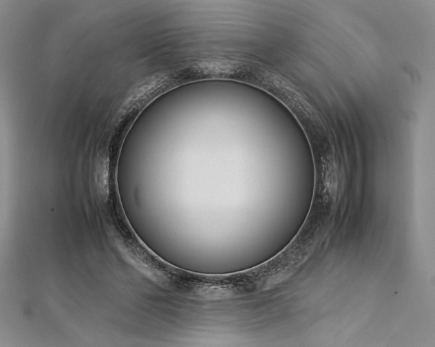 X0000113030494200908271458