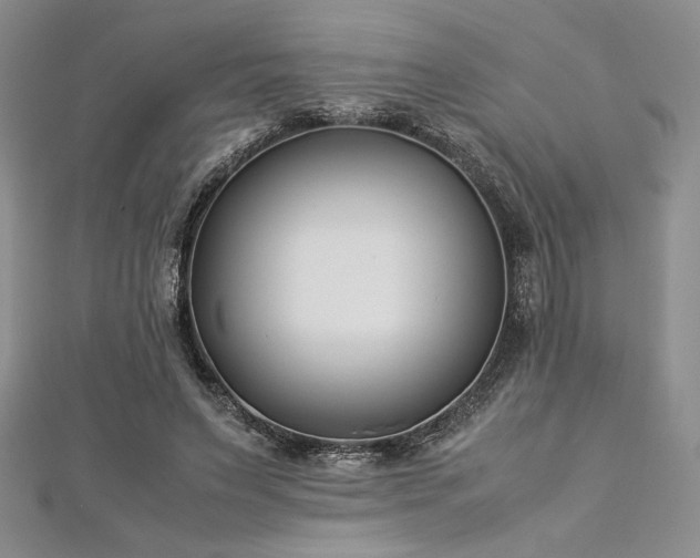 X0000113030495200908271458