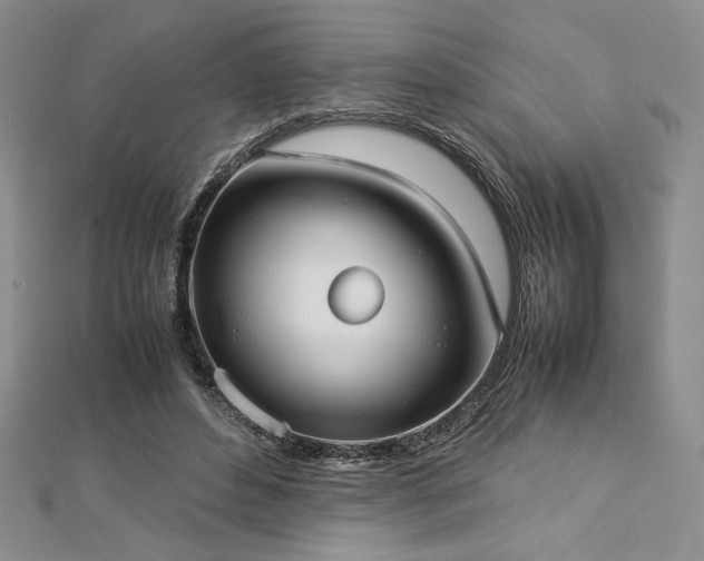 X0000113030496200908271458