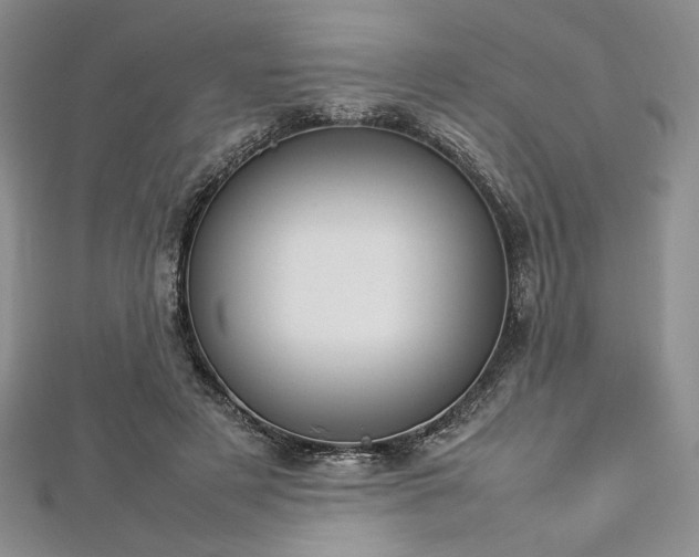 X0000113030497200908271458