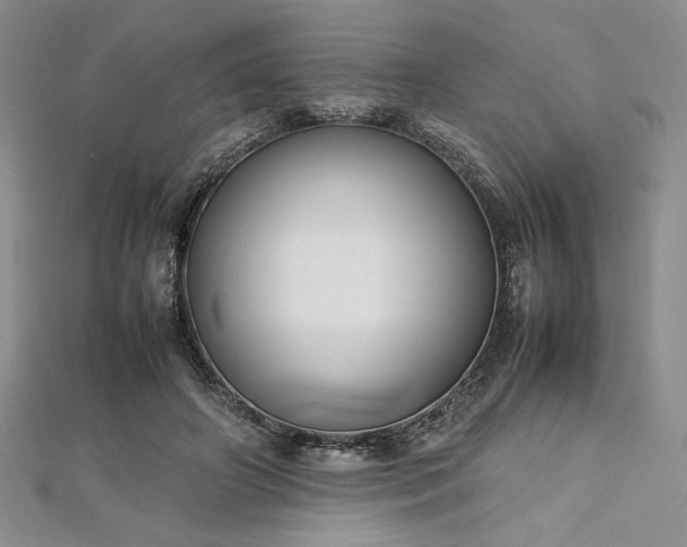 X0000113030498200908271458