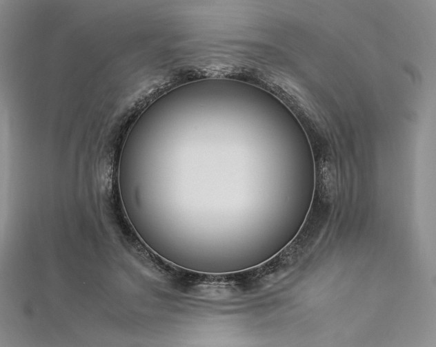 X0000113030499200908271458