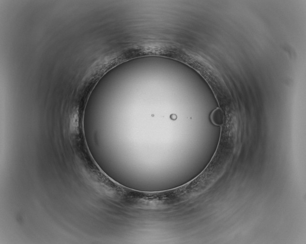 X0000113030502200908271457