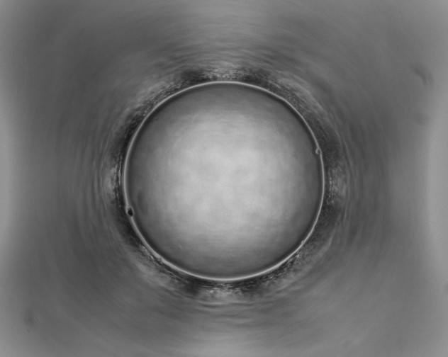 X0000113030503200908271457