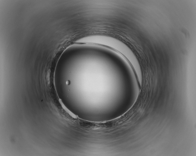 X0000113030504200908271457