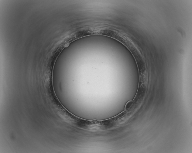 X0000113030505200908271457