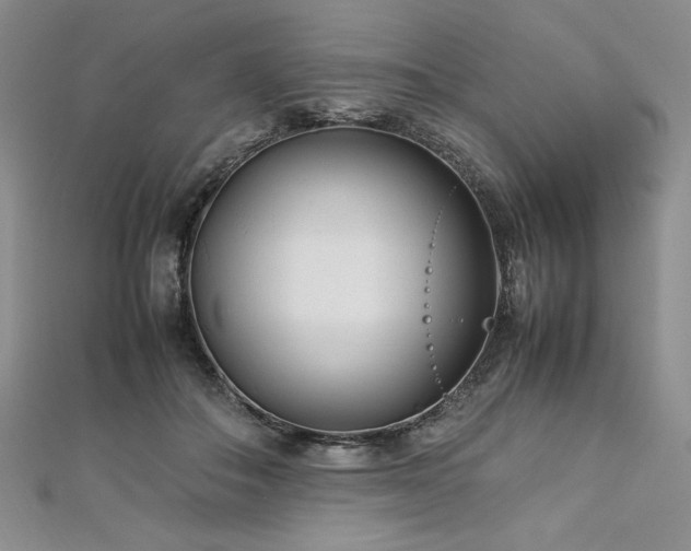 X0000113030506200908271457