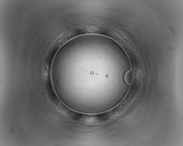 X0000113030507200908271457