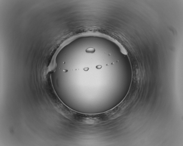 X0000113030508200908271457