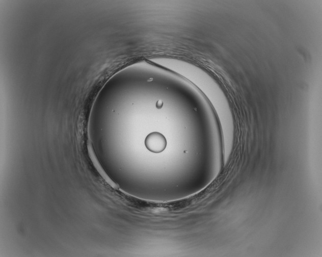 X0000113030509200908271457