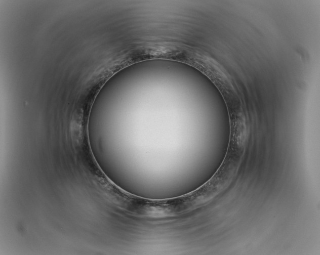 X0000113030510200908271457