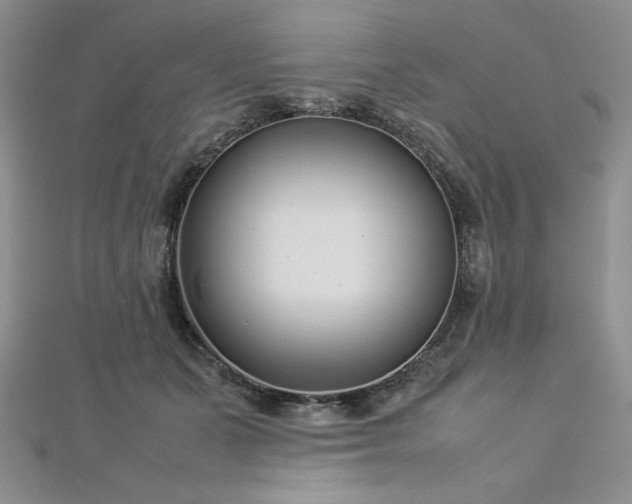 X0000113030511200908271457